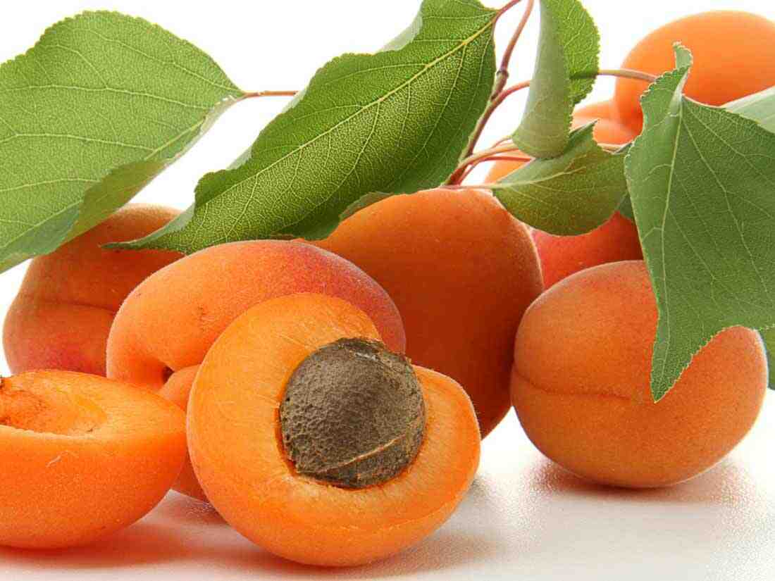 Quelle est la meilleure variété d'abricot ?