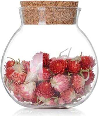 Techniques de conservation sans sucre confitures